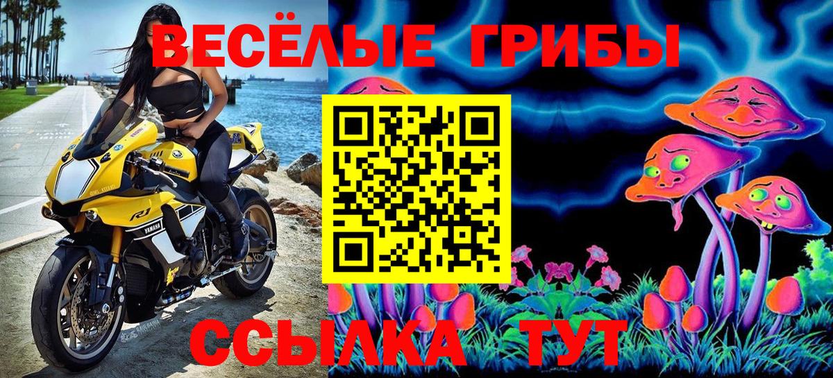 Азнакаево  Псилоцибиновые грибы мухоморы  Вход с VPN 