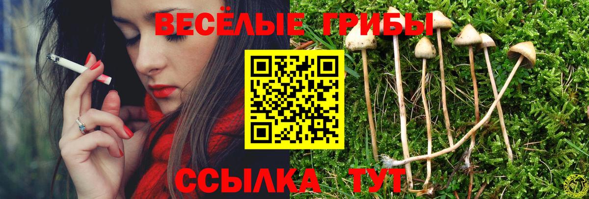 Галлюциногенные грибы Psilocybine cubensis Азнакаево